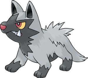 Poochyena Pokédex: stats, moves, evolution & locations.